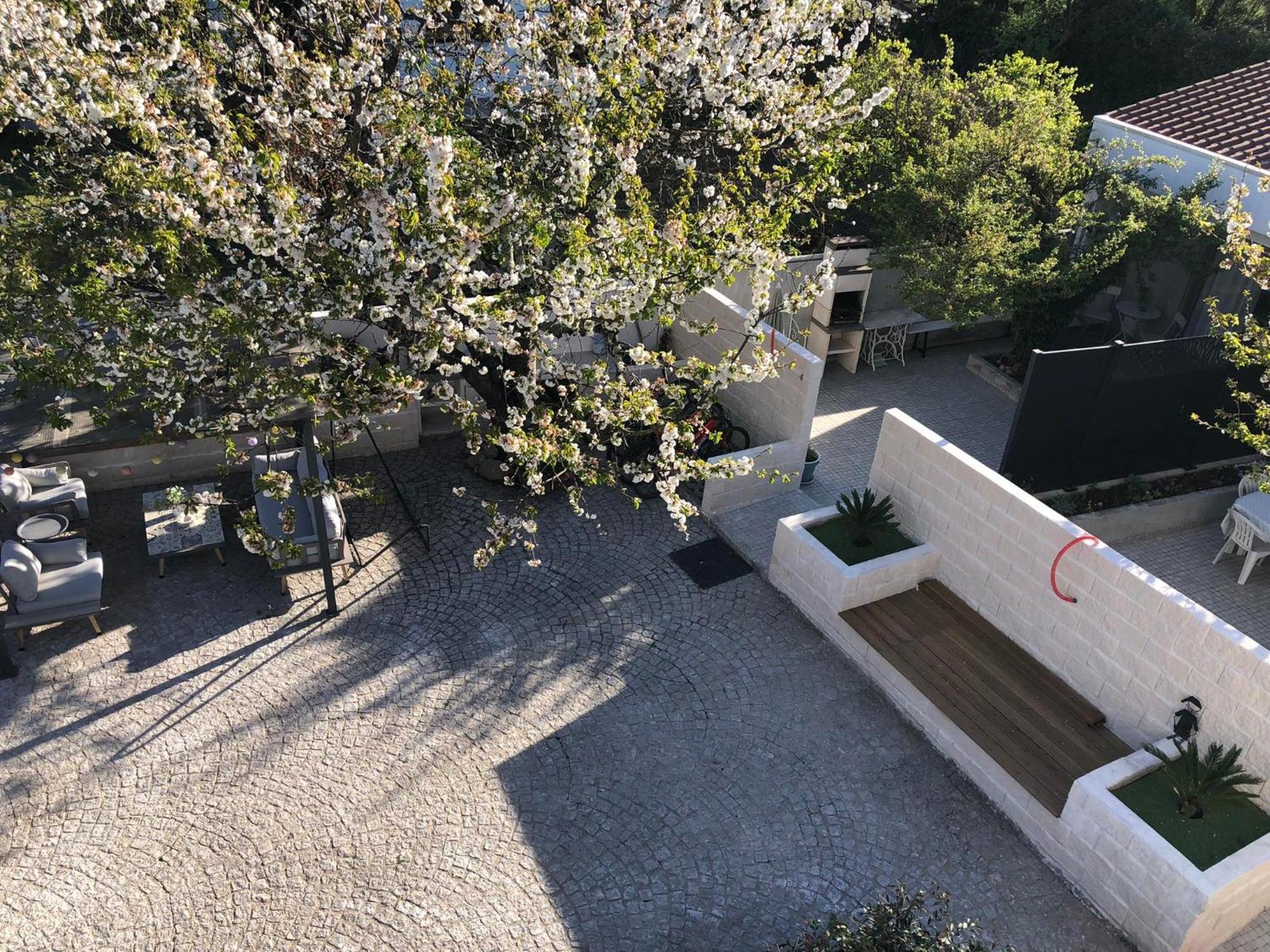 Villa Casa da Avó Olinda Góis Exterior foto